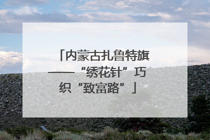 内蒙古扎鲁特旗——“绣花针”巧织“致富路”