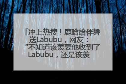 冲上热搜！鹿晗给伴舞送Labubu，网友：“不知道该羡慕他收到了Labubu，还是该羡慕鹿晗送他礼物”