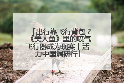 出行靠飞行背包？《美人鱼》里的喷气飞行器成为现实丨活力中国调研行