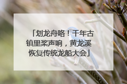 划龙舟咯！千年古镇里桨声响，黄龙溪恢复传统龙船大会