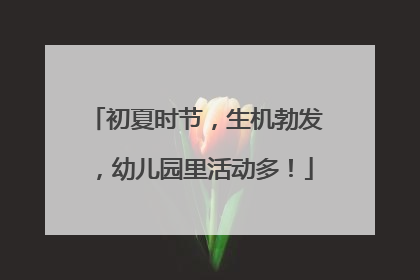 初夏时节，生机勃发，幼儿园里活动多！