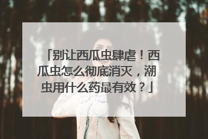 别让西瓜虫肆虐！西瓜虫怎么彻底消灭，潮虫用什么药最有效？