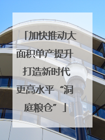 加快推动大面积单产提升 打造新时代更高水平“洞庭粮仓”