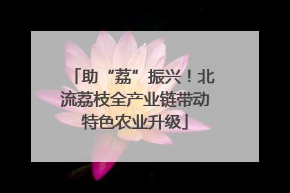 助“荔”振兴！北流荔枝全产业链带动特色农业升级