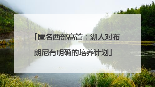 匿名西部高管：湖人对布朗尼有明确的培养计划