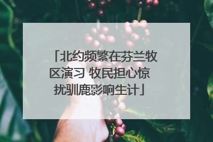 北约频繁在芬兰牧区演习 牧民担心惊扰驯鹿影响生计
