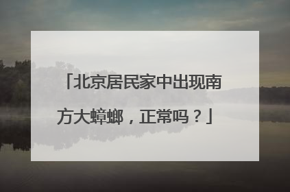 北京居民家中出现南方大蟑螂，正常吗？