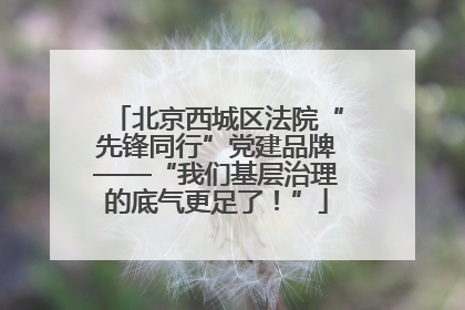 北京西城区法院“先锋同行”党建品牌——“我们基层治理的底气更足了！”