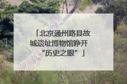 北京通州路县故城遗址博物馆睁开“历史之眼”