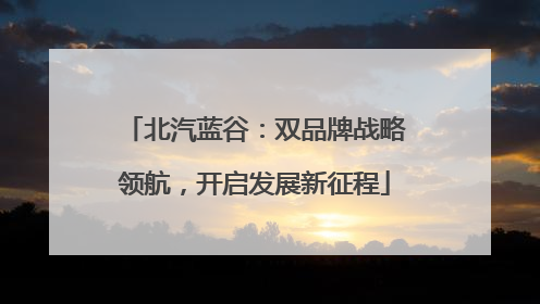 北汽蓝谷：双品牌战略领航，开启发展新征程