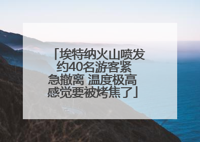 埃特纳火山喷发 约40名游客紧急撤离 温度极高感觉要被烤焦了