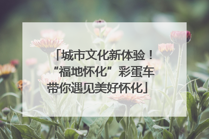 城市文化新体验！“福地怀化”彩蛋车带你遇见美好怀化