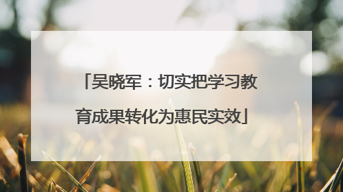 吴晓军：切实把学习教育成果转化为惠民实效
