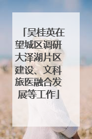 吴桂英在望城区调研大泽湖片区建设、文科旅医融合发展等工作