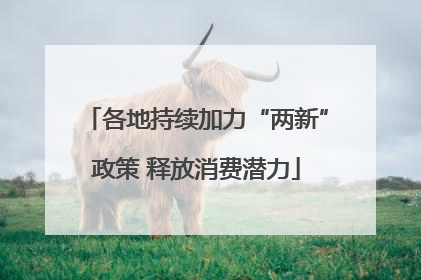 各地持续加力“两新”政策 释放消费潜力