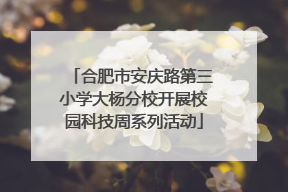 合肥市安庆路第三小学大杨分校开展校园科技周系列活动