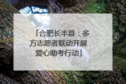 合肥长丰县：多方志愿者联动开展爱心助考行动