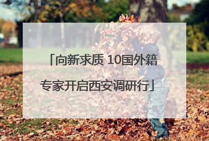 向新求质 10国外籍专家开启西安调研行