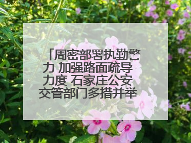 周密部署执勤警力 加强路面疏导力度 石家庄公安交管部门多措并举确保考点周边交通环境良好