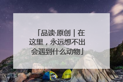 品读·原创｜在这里，永远想不出会遇到什么动物