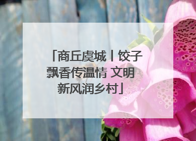 商丘虞城丨饺子飘香传温情 文明新风润乡村