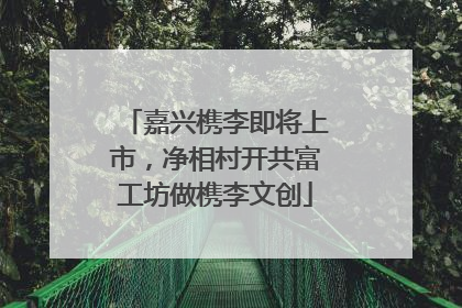 嘉兴槜李即将上市，净相村开共富工坊做槜李文创