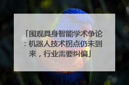 围观具身智能学术争论：机器人技术拐点仍未到来，行业需要纠偏