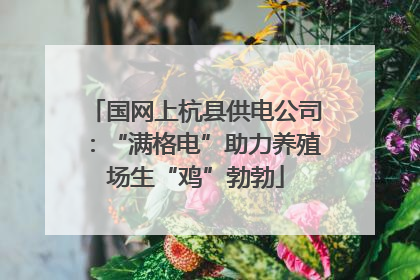 国网上杭县供电公司：“满格电”助力养殖场生“鸡”勃勃