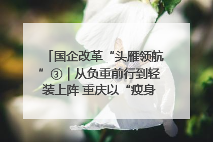 国企改革“头雁领航”③｜从负重前行到轻装上阵 重庆以“瘦身”谋“健体”