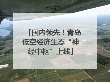 国内领先！青岛低空经济生态“神经中枢”上线