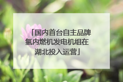 国内首台自主品牌氢内燃机发电机组在湖北投入运营