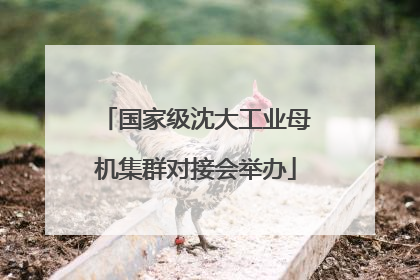 国家级沈大工业母机集群对接会举办