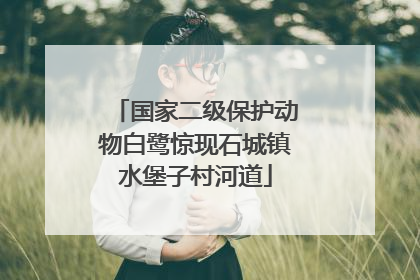国家二级保护动物白鹭惊现石城镇水堡子村河道