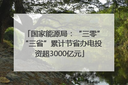 国家能源局：“三零”“三省”累计节省办电投资超3000亿元