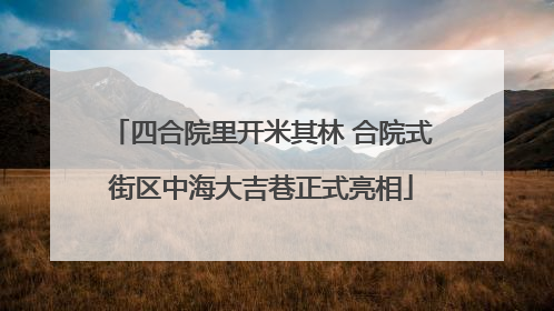 四合院里开米其林 合院式街区中海大吉巷正式亮相