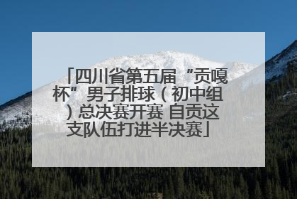 四川省第五届“贡嘎杯”男子排球（初中组）总决赛开赛 自贡这支队伍打进半决赛