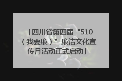 四川省第四届“510（我要廉）”廉洁文化宣传月活动正式启动