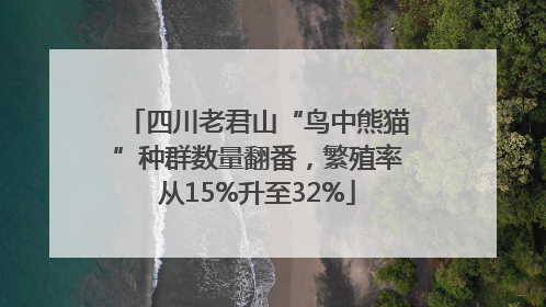 四川老君山“鸟中熊猫”种群数量翻番，繁殖率从15%升至32%