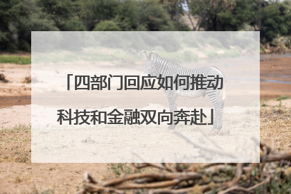 四部门回应如何推动科技和金融双向奔赴