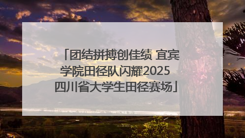 团结拼搏创佳绩 宜宾学院田径队闪耀2025四川省大学生田径赛场
