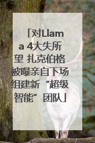 对Llama 4大失所望 扎克伯格被曝亲自下场组建新“超级智能”团队
