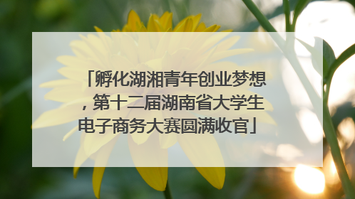 孵化湖湘青年创业梦想，第十二届湖南省大学生电子商务大赛圆满收官