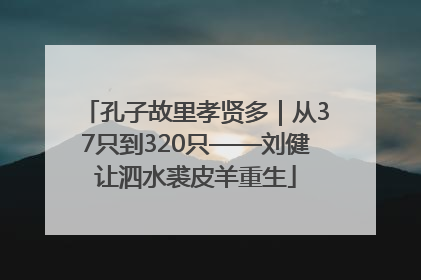 孔子故里孝贤多｜从37只到320只——刘健让泗水裘皮羊重生