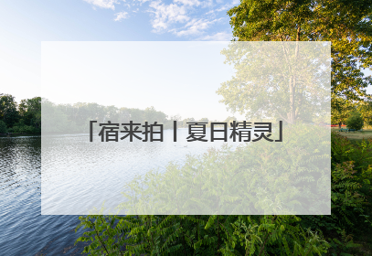 宿来拍丨夏日精灵