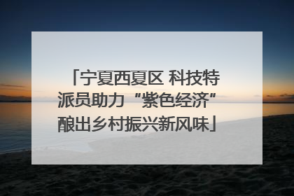 宁夏西夏区 科技特派员助力“紫色经济”酿出乡村振兴新风味