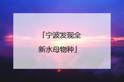 宁波发现全新水母物种