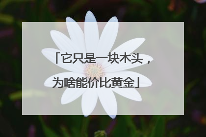 它只是一块木头，为啥能价比黄金