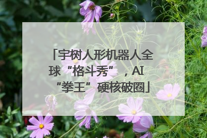 宇树人形机器人全球“格斗秀”，AI“拳王”硬核破圈
