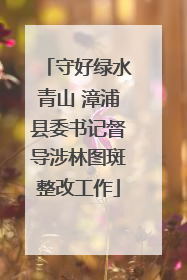 守好绿水青山 漳浦县委书记督导涉林图斑整改工作
