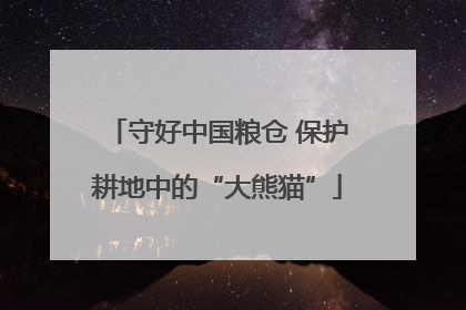 守好中国粮仓 保护耕地中的“大熊猫”
